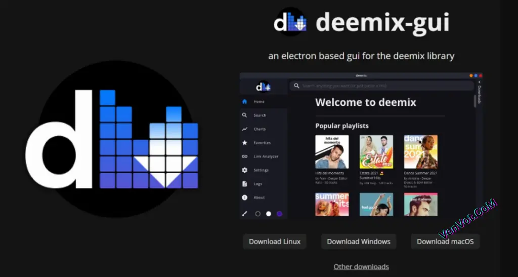 Deemix 08 Download Music on Windows 2025-2.webp
