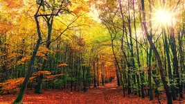 image-01.webp