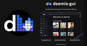 Deemix 08 Download Music on Windows 2025-2.webp