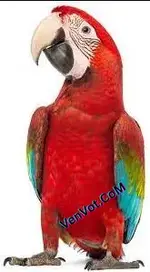 Download RadioMonitor v0.83.0